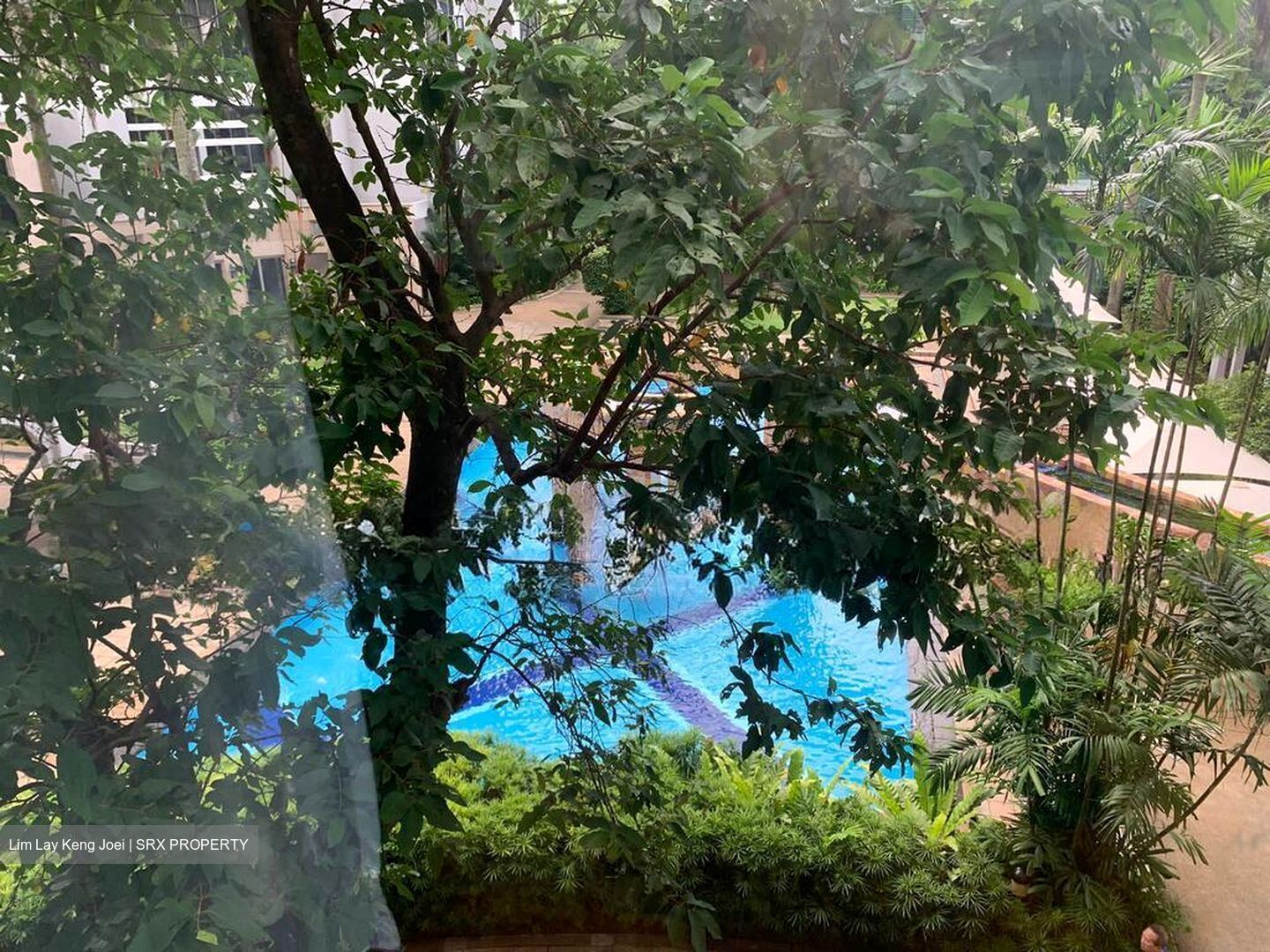 The Bayshore (D16), Condominium #500543451